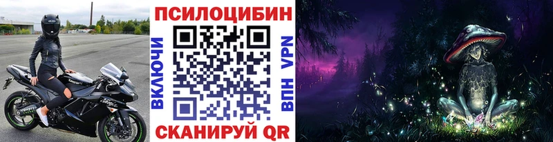 Псилоцибиновые грибы Psilocybe Новоульяновск